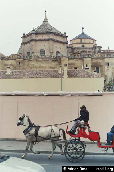 Mezquita