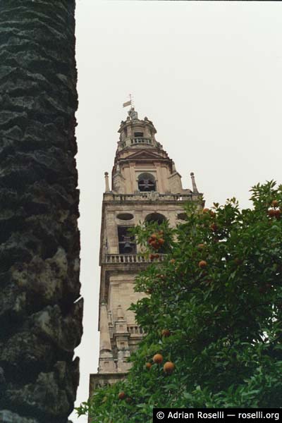 Patio de los Naranjos