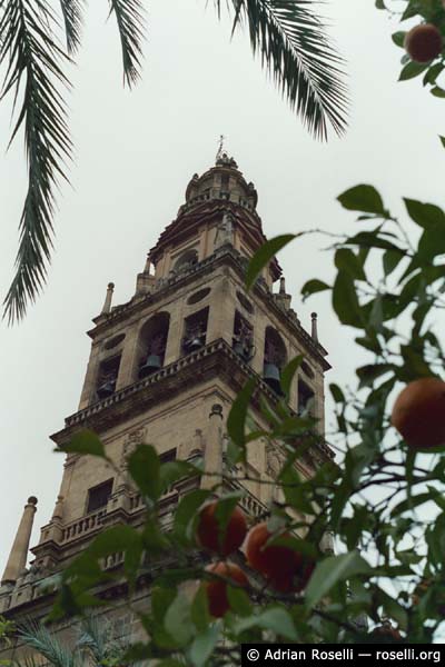 Patio de los Naranjos