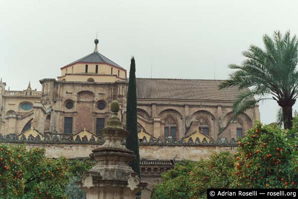 Patio de los Naranjos