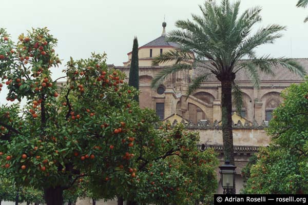 Patio de los Naranjos