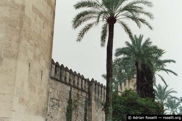 Mezquita