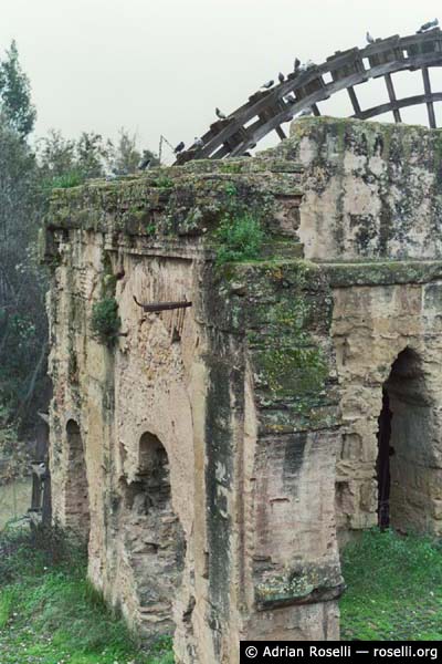 Water Wheel