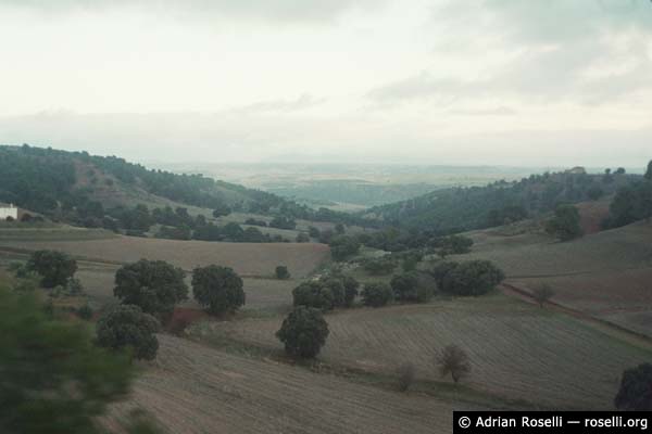 Hills and Trees