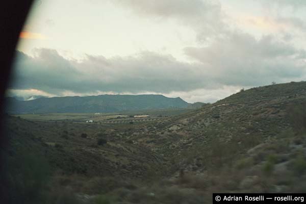 Hills and Trees