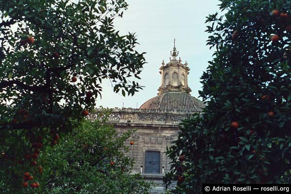 Patio de los Naranjos